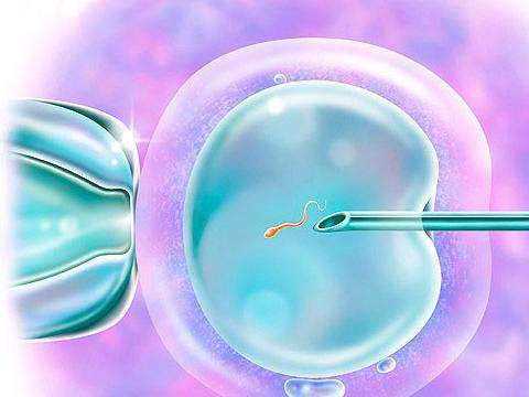 供卵试管能成功吗_48岁做供卵试管_六安助孕医院提醒子宫内膜增生能做试管婴